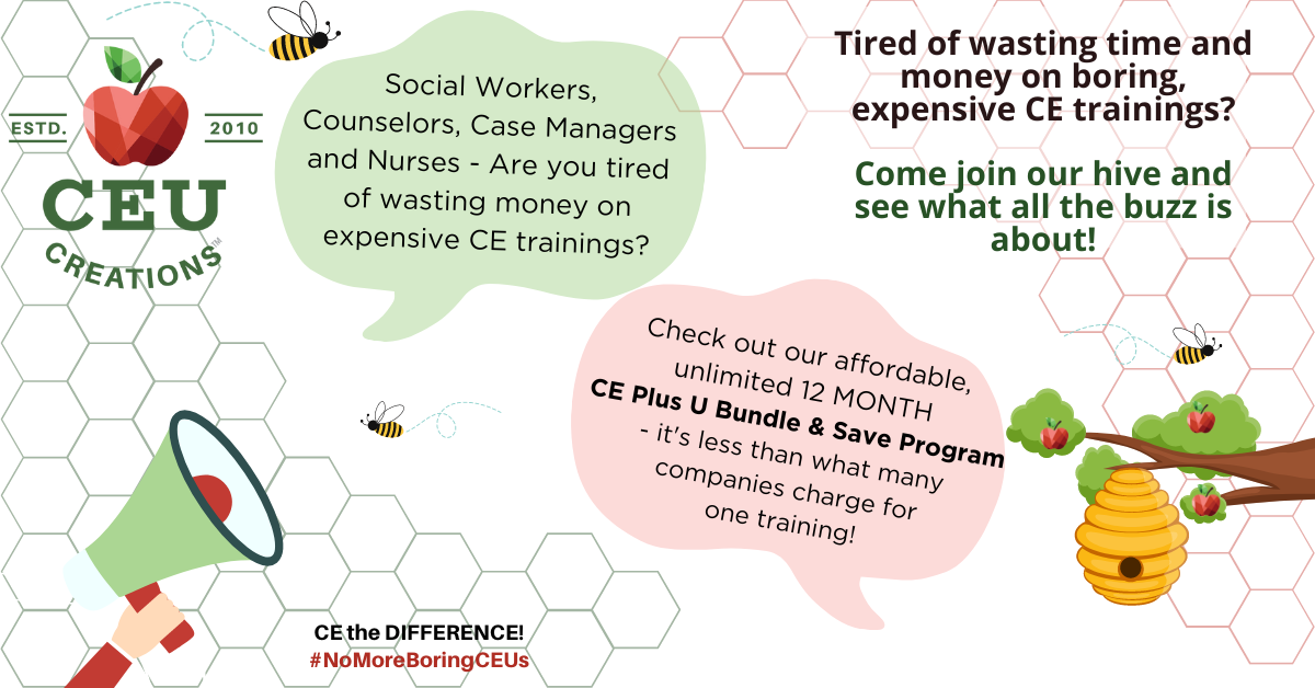 Website Bundle Image